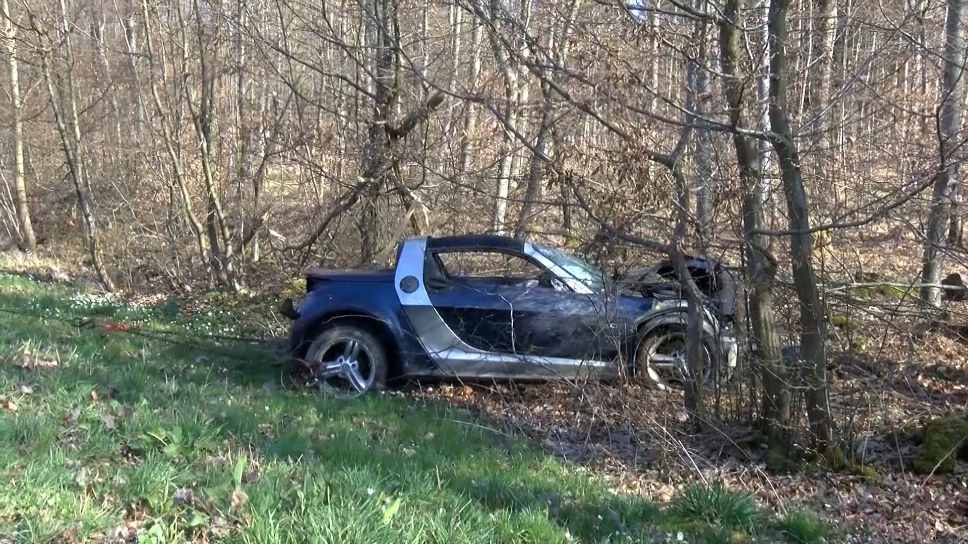 Auto fährt in Wald